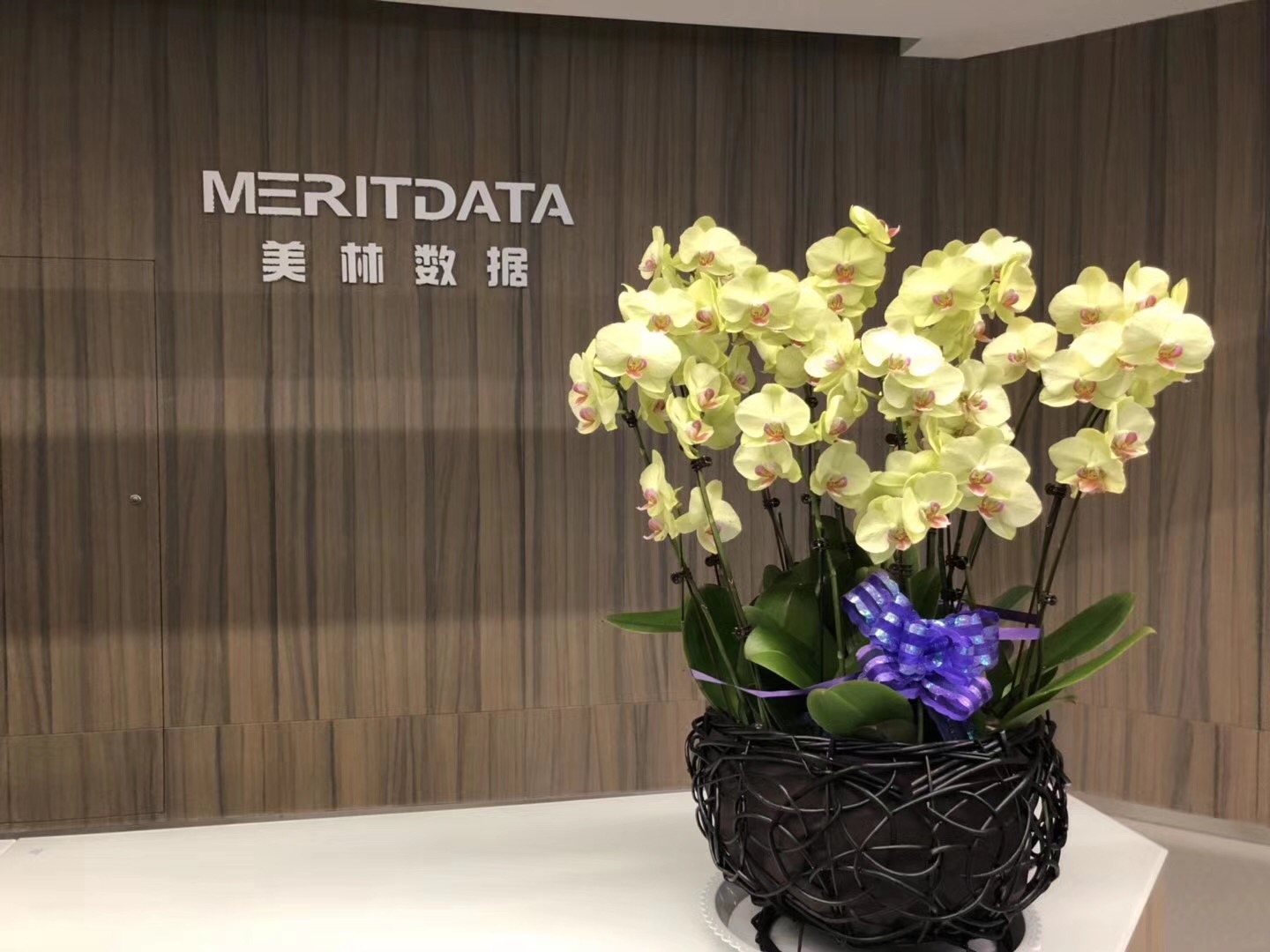 美林?jǐn)?shù)據(jù)寫(xiě)入西安市“十三五”工業(yè)發(fā)展規(guī)劃，肩負(fù)助推區(qū)域大數(shù)據(jù)產(chǎn)業(yè)發(fā)展重任